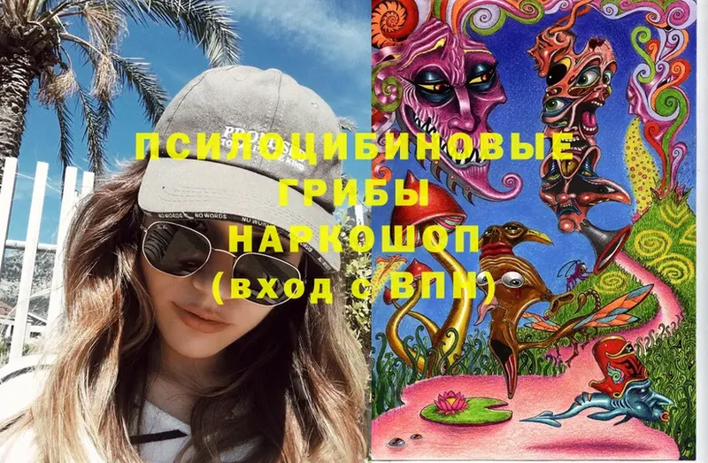 Псилоцибиновые грибы Psilocybe  Новодвинск 